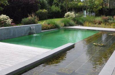 Piscine naturelle : choses à savoir